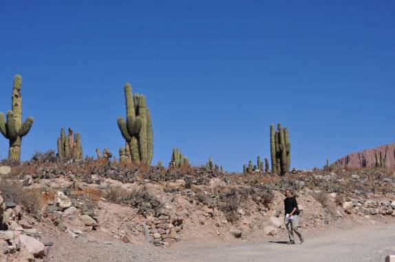 Caminhando pelo El Pucará, em Tilcara, na Quebrada Humahuaca - Argentina